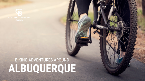 Albuquerque Bikes